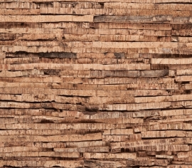 Placi Decorative Scoarta Slate Natural