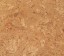 WISE Pure Shell Natural